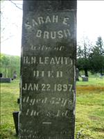 Leavitt, Sarah E. (Brush)